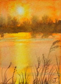 'Lake Weir Sunrise' von Warren Thompson