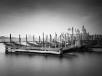 Venezia von Nina Papiorek