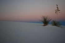 White Sands - Sunset von usaexplorer