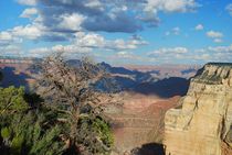 Grand Canyon NP - Arizona by usaexplorer