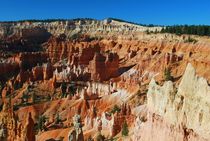 Bryce Canyon - USA von usaexplorer