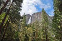 Yosemite Falls III by usaexplorer