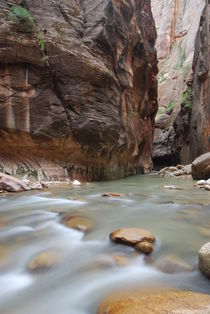 The Narrows - Zion NP by usaexplorer