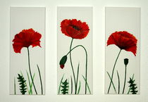 Ansicht von 3 Mohnblumen aus der Galerie by Lidija Kämpf