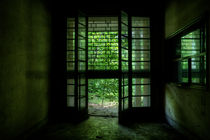 The Green Door by Giulio Asso