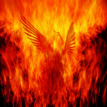 Phoenix Rising by Andrew Paranavitana