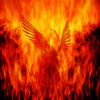 Phoenix-rising