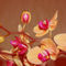 Orchideenrispe1