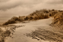 Dunes (Sepia) by sandra cockayne