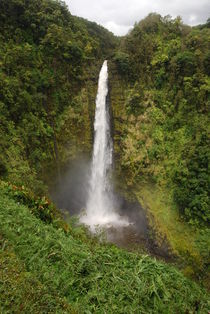 Akaka Falls - Hawaii by usaexplorer