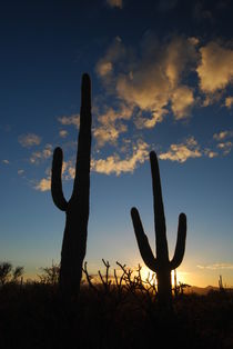 Sonnenuntergang Arizona von usaexplorer