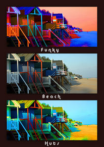 Funky Beach Huts Collage by sandra cockayne