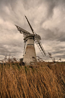 Thurne Mill.