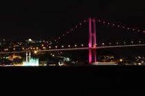 Bosphorus Bridge by Evren Kalinbacak