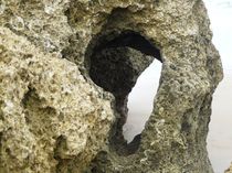 Felsenohr von Ariane Kujas