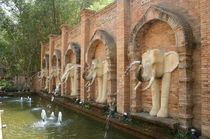 elephants von whoiamann