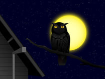 owl in the night by Miro Kovacevic