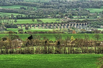 Arthington Viaduct. by Colin Metcalf