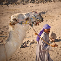 Bedouin with camel in the desert by tkdesign