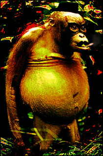 Monkey Man by Yuri Rodrigues de Oliveira