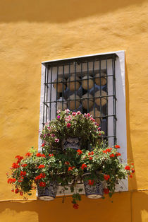 PUEBLA WINDOW Mexico by John Mitchell
