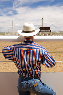 Watching The 4th of July Rodeo 1 by Tom Hanslien