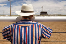 Watching The 4th of July Rodeo 2 by Tom Hanslien