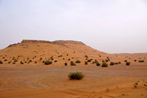 Wüste von Daniela  Bergmann