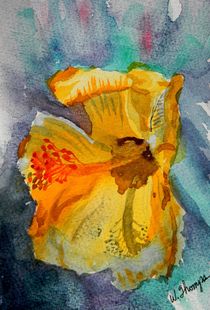 Yellow Hibiscus Shadows by Warren Thompson