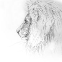 LION KING von Karin Russer