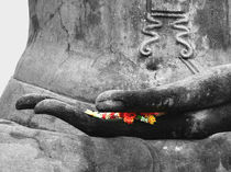 Hand of Buddha von serenityphotography