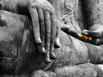 Buddha Sudbuing Mara by serenityphotography