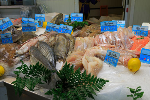 Fresh-fish-honfleur0163