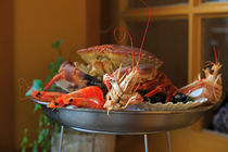 Seafood platter with prawns, crab, and shellfish by Louise Heusinkveld