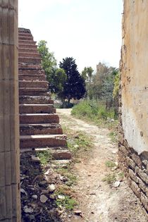 Cyprus Stairway by Bianca Baker