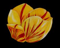 Acrylbild Tulpe, gelb/rot by Anke Franikowski