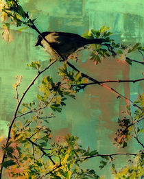 Resting Bird. by rosanna zavanaiu