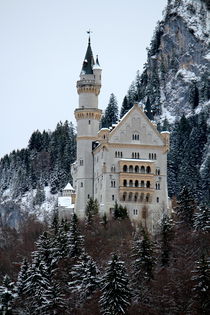 Schloss Neuschwanstein by Bianca Baker