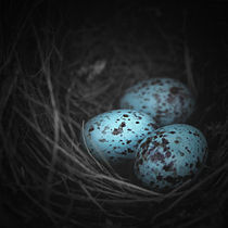 Nest of 3  by Trish Mistric
