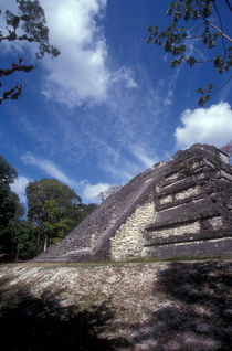 LOST WORLD Tikal Guatemala von John Mitchell