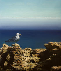 seagull  by Aleksei Shatunov