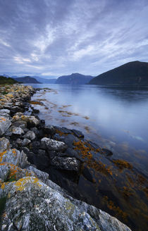 Norway - fjords at dusk von Horia Bogdan