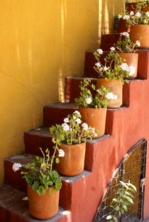 FLOWERY STAIRCASE San Miguel de Allende Mexico von John Mitchell