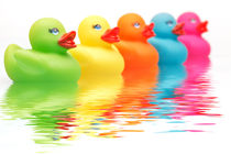 Rainbow Ducks by Martin Williams