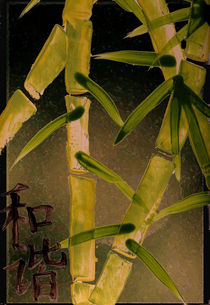 Bamboo von Marie Luise Strohmenger