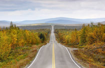 Finland - straight road through Lapland in autumn von Horia Bogdan