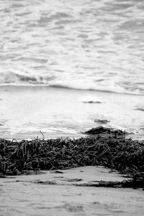 Seaweed Black and White by Bianca Baker