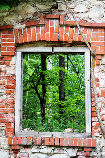 Green Window by Bianca Baker