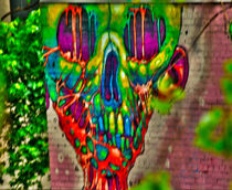 Graffiti of the Bronx. NY. von Maks Erlikh