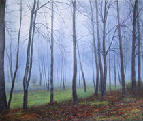Winter Forest von Conor McGuire